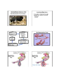 Animal/Dairy Science 434� Learning Objectives