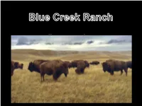 Sandhills Ranch Properties