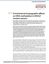 Functional and Topographic Effects on DNA Methylation in IDH1/2 Mutant