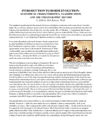 INTRODUCTION to HORSE EVOLUTION: ANATOMICAL CHARACTERISTICS, CLASSIFICATION, and the STRATIGRAPHIC RECORD © 2008 by Deb Bennett, Ph.D