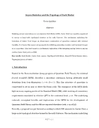 P Age Anyon Statistics and the Topology of Dark Matter
