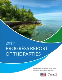 2019 Progress Report of the Parties