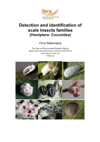App 1 Guide to Scale Insect Families
