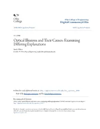 Optical Illusions and Their Causes Examining Differing Explanations