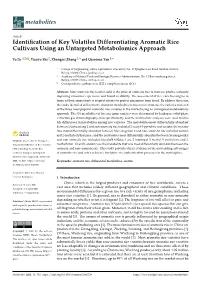 Identification of Key Volatiles Differentiating Aromatic Rice