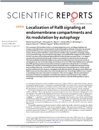 Localization of Ralb Signaling at Endomembrane Compartments and Its Modulation by Autophagy Received: 14 January 2019 Manish Kumar Singh1,2, Alexandre P