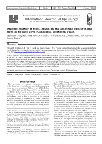 Organic Matter of Fossil Origin in the Amberine Speleothems from El