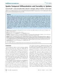 Spatio-Temporal Differentiation and Sociality in Spiders