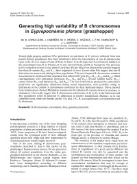 Generating High Variability of B Chromosomes in Eyprepocnemis Plorans (Grasshopper)