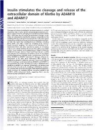 Insulin Stimulates the Cleavage and Release of the Extracellular Domain of Klotho by ADAM10 and ADAM17