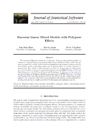 Bayesian Linear Mixed Models with Polygenic Effects