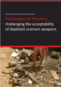 Precaution in Practice (ICBUW)