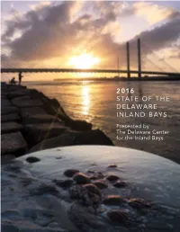 The 2016 State of the Delaware Inland Bays Report Is a Compilation of the Atlantic Ocean