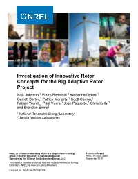 Investigation of Innovative Rotor Concepts for the Big Adaptive Rotor