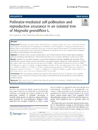Pollinator-Mediated Self-Pollination and Reproductive Assurance in an Isolated Tree of Magnolia Grandiflora L