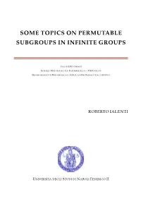 Some Topics on Permutable Subgroups in Infinite Groups