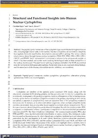 Structural and Functional Insights Into Human Nuclear Cyclophilins
