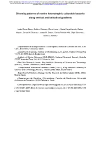 Diversity Patterns of Marine Heterotrophic Culturable Bacteria Along Vertical and Latitudinal Gradients