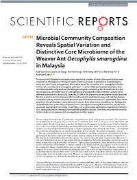 Microbial Community Composition Reveals Spatial Variation and Distinctive Core Microbiome of the Weaver Ant Oecophylla Smaragdin