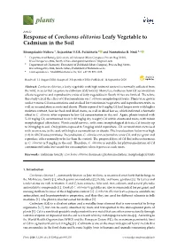 Response of Corchorus Olitorius Leafy Vegetable to Cadmium in the Soil