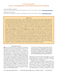 A Virtual Paleolithic: Assays in Photogrammetric Three-Dimensional Artifact Modelling