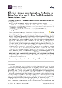 Effects of Nitrogen Level During Seed Production on Wheat Seed Vigor and Seedling Establishment at the Transcriptome Level