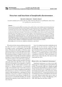 Structure and Functions of Lampbrush Chromosomes