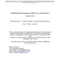APOBEC3B-Dependent Kataegis and TREX1-Driven Chromothripsis In