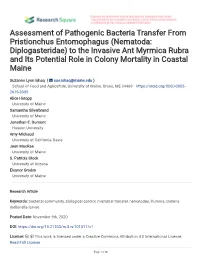 Assessment of Pathogenic Bacteria Transfer from Pristionchus
