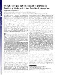 Evolutionary Population Genetics of Promoters: Predicting Binding Sites and Functional Phylogenies