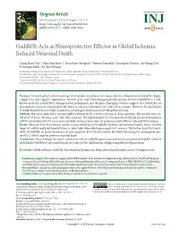 Gadd45b Acts As Neuroprotective Effector in Global Ischemia- Induced Neuronal Death