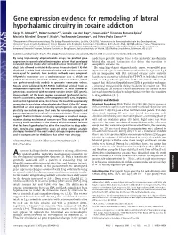 Gene Expression Evidence for Remodeling of Lateral Hypothalamic Circuitry in Cocaine Addiction