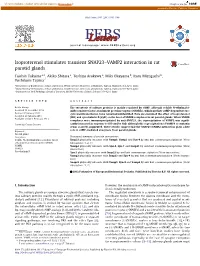 Isoproterenol Stimulates Transient SNAP23–VAMP2 Interaction in Rat