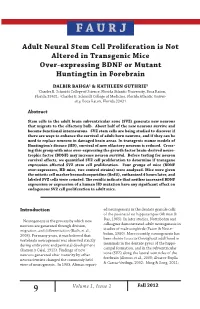 Adult Neural Stem Cell Proliferation Is Not Altered in Transgenic Mice Over-Expressing BDNF Or Mutant Huntingtin in Forebrain