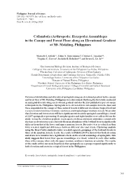 Assemblages in the Canopy and Forest Floor Along an Elevational Gradient at Mt
