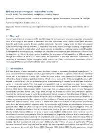 Helium Ion Microscopy of Lepidoptera Scales 1 Abstract 2 Introduction