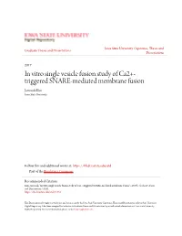 In Vitro Single Vesicle Fusion Study of Ca2+-Triggered SNARE-Mediated Membrane Fusion" (2017)