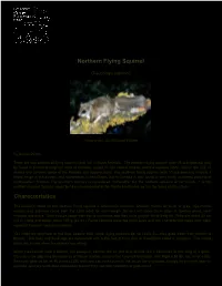 Northwestwildlife.Com Species Reports
