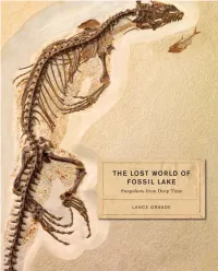 The Lost World of Fossil Lake