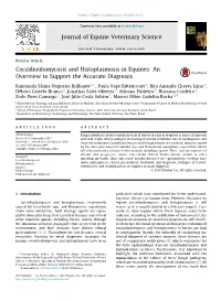 Coccidioidomycosis and Histoplasmosis in Equines: an Overview to Support the Accurate Diagnosis