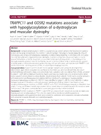 TRAPPC11 and GOSR2 Mutations Associate with Hypoglycosylation of Α-Dystroglycan and Muscular Dystrophy Austin A