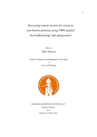 Dissecting Neural Circuits for Vision in Non-Human Primates Using Fmri-Guided Electrophysiology and Optogenetics