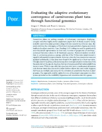 Evaluating the Adaptive Evolutionary Convergence of Carnivorous Plant Taxa Through Functional Genomics