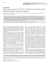 Novel and Recurrent COL11A1 and COL2A1 Mutations in the Marshall–Stickler Syndrome Spectrum