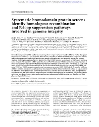 Systematic Bromodomain Protein Screens Identify Homologous Recombination and R-Loop Suppression Pathways Involved in Genome Integrity