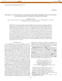 Article the Skull of Teleosaurus Cadomensis
