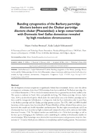 Banding Cytogenetics of the Barbary Partridge Alectoris Barbara and the Chukar Partridge Alectoris Chukar (Phasianidae): a Large