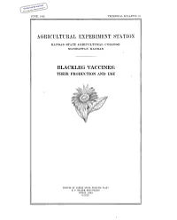 Blackleg Vaccines: Their Production and Use Summary