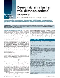 Dynamic Similarity, the Dimensionless Science