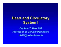 Heart and Circulatory System I